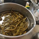 福井郷土料理、保存食を戻すとかの前準備